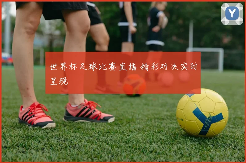 世界杯足球比赛直播 精彩对决实时呈现