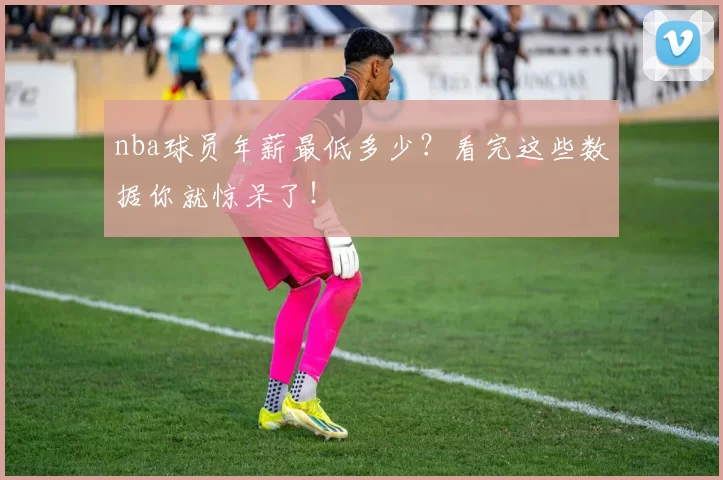 nba球员年薪最低多少？看完这些数据你就惊呆了！