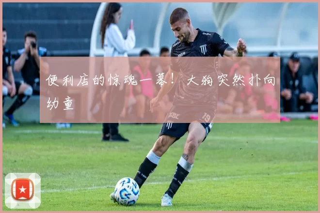 便利店的惊魂一幕！大狗突然扑向幼童