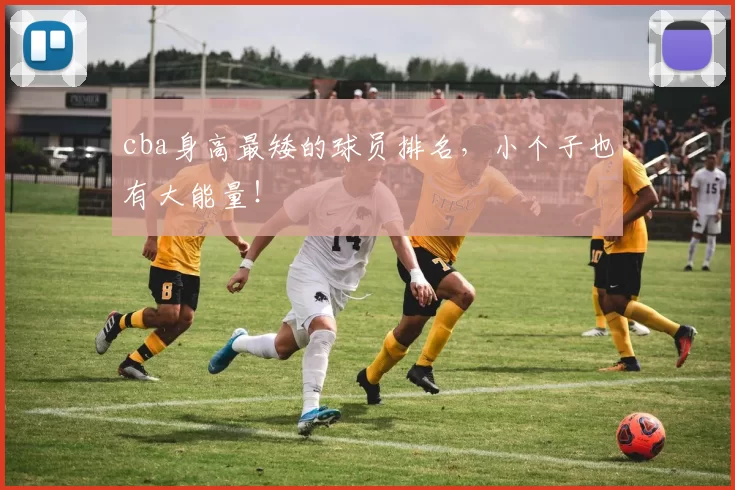 cba身高最矮的球员排名，小个子也有大能量！